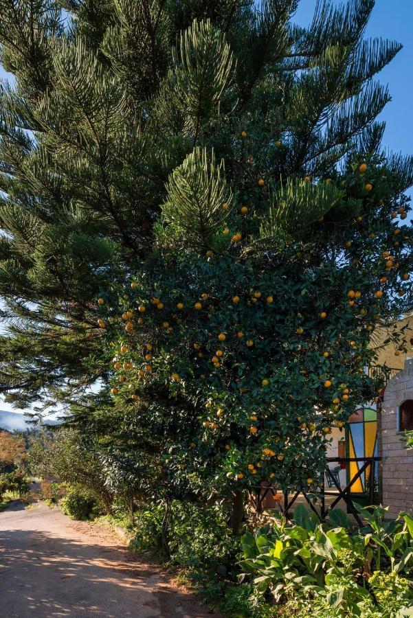 Appartamento Casa Arokaria Pendarianá Esterno foto