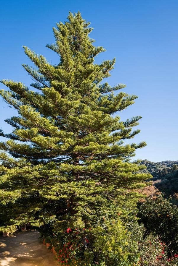 Appartamento Casa Arokaria Pendarianá Esterno foto